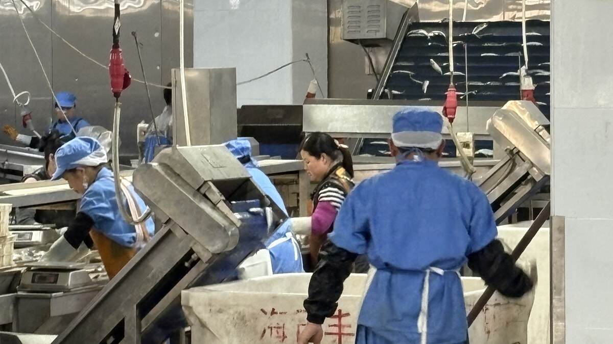 How Importers Should Check Supplier Capability Before Ordering Frozen Seafood