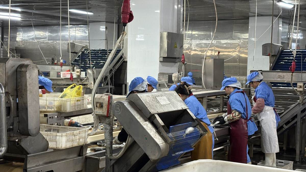Private Label and Carton Mark Requirements for Frozen Seafood Buyers