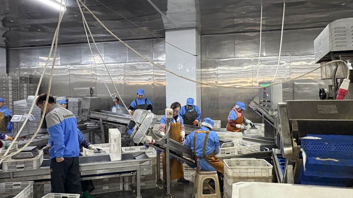 What Quality Certificates Matter for Frozen Seafood Buyers?