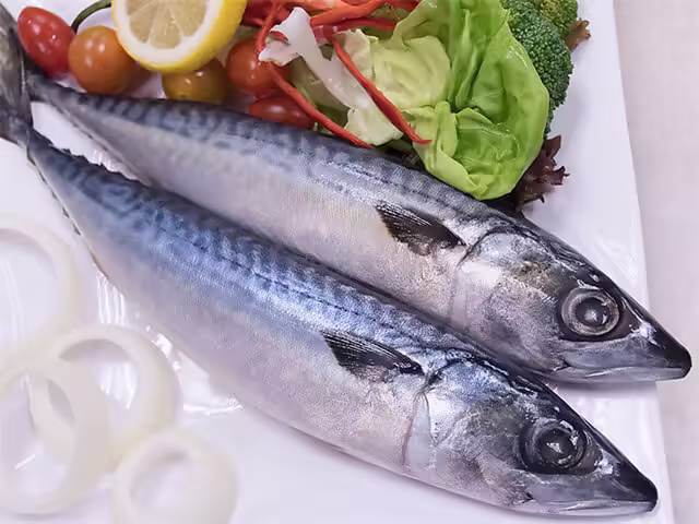 Frozen Pacific Mackerel Whole Round - Premium Grade from China Factory