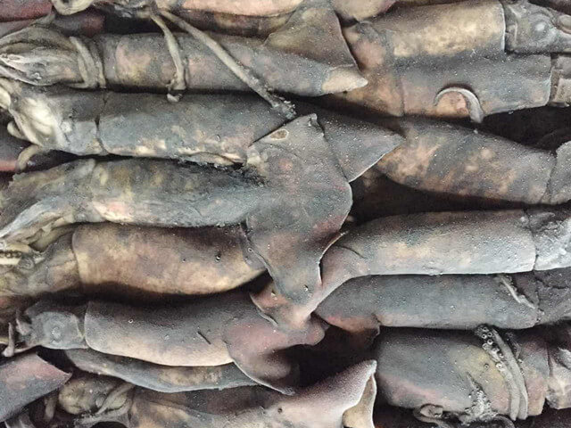 Black Squid