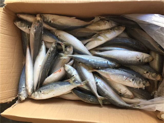 Round Scad