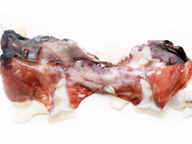 Squid Neck