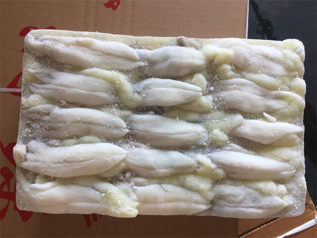 Squid eggs