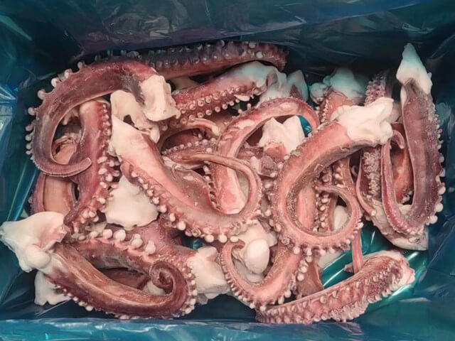 Squid Tentacles