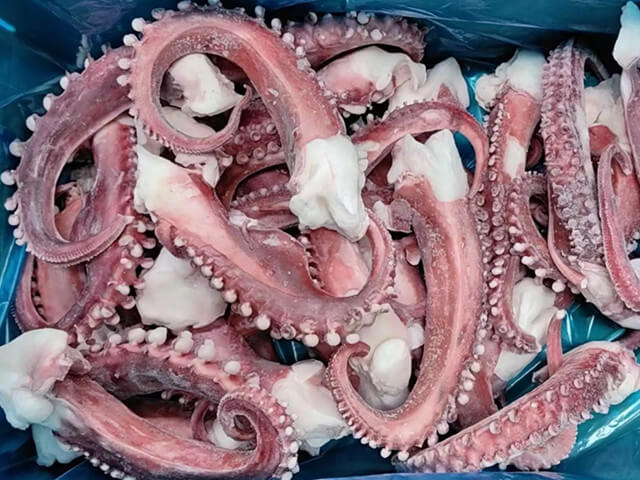 Squid Tentacles