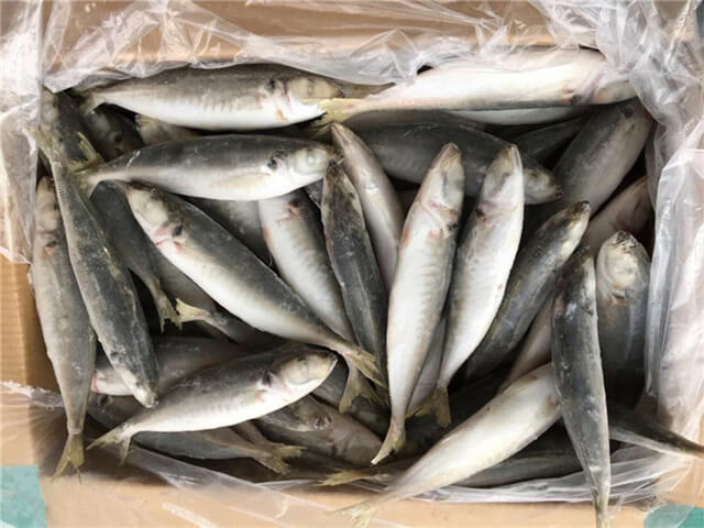 Round Scad