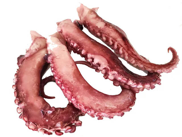 Squid Tentacles