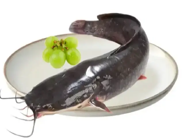 Catfish