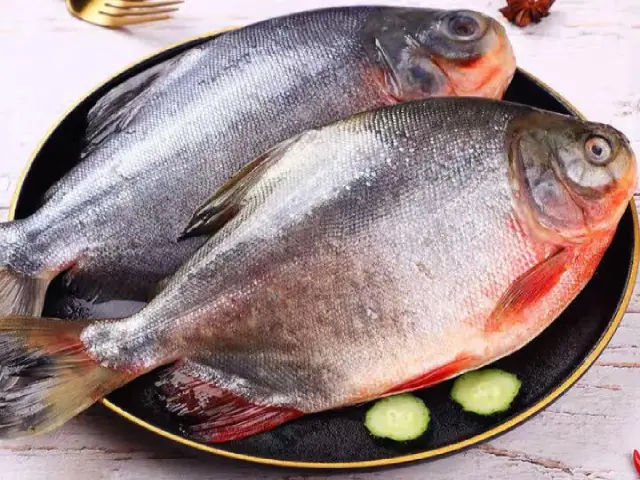 Red Pomfret