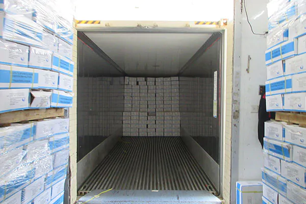 Step 6: Cold Storage & Reefer Container Loading