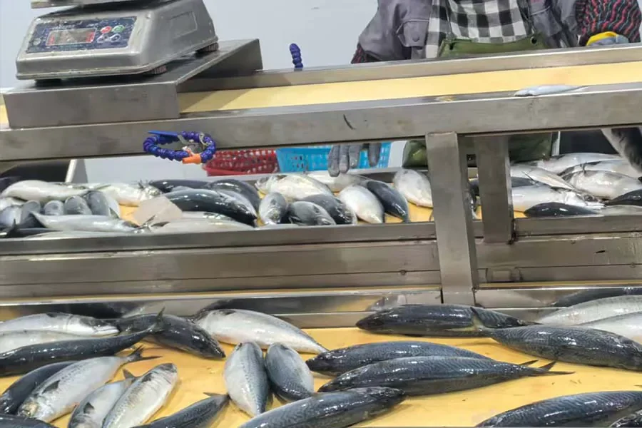 Processing Line