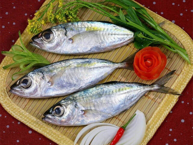 Bigeye Scad