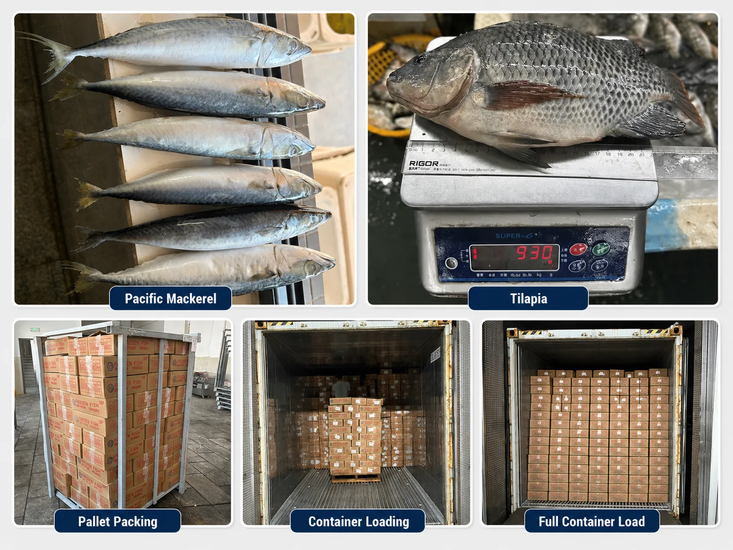 Your Trusted #1 Seafood Wholesaler?