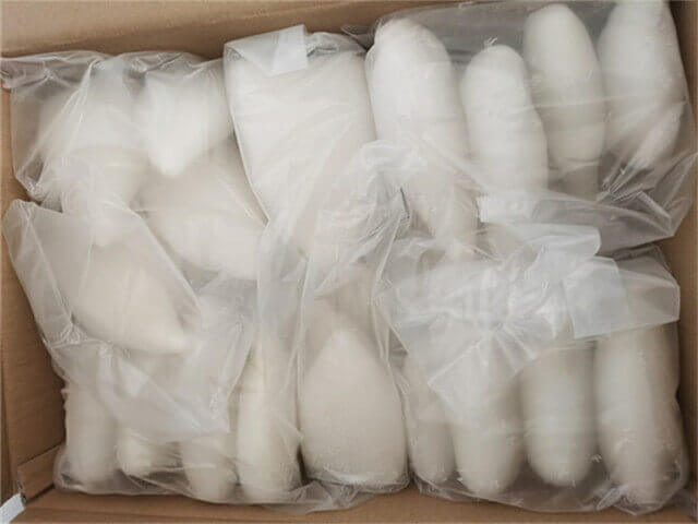 Squid Tubes
