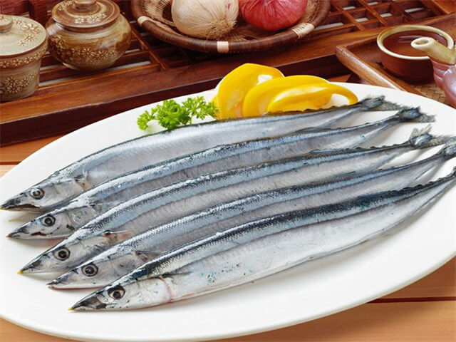 Pacific Saury