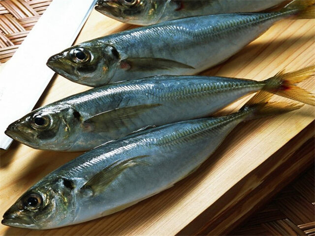 Horse Mackerel