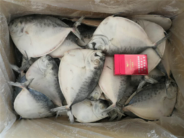 Moonfish