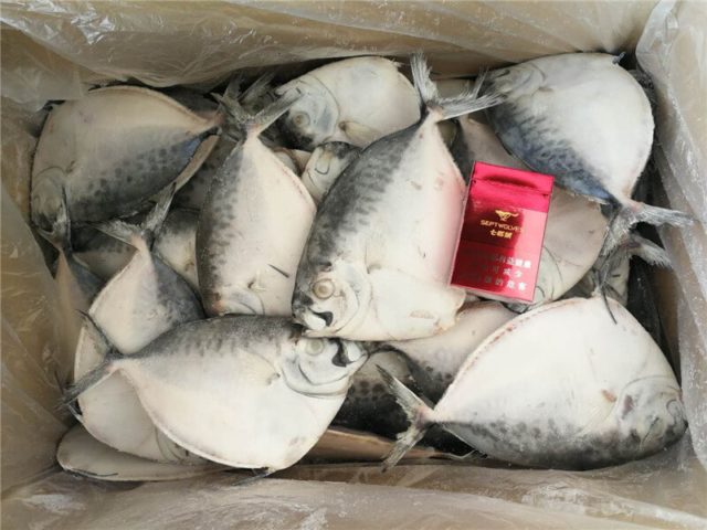 Moonfish