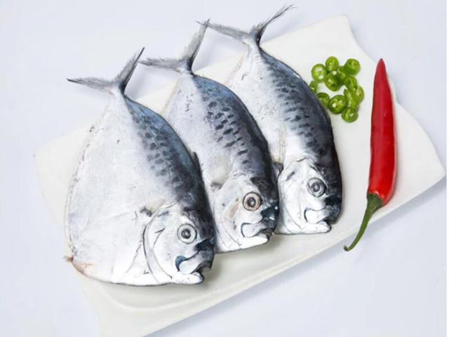 Moonfish