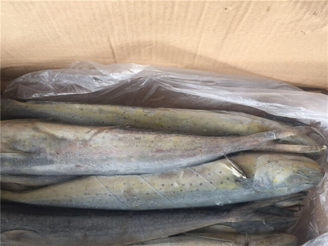 Mahi Mahi