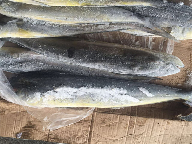Mahi Mahi