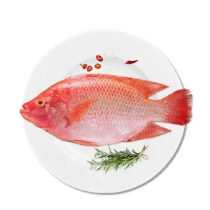 Red Tilapia