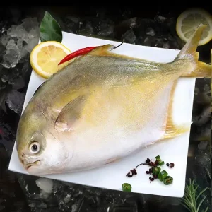 Golden Pompano