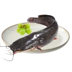 Catfish