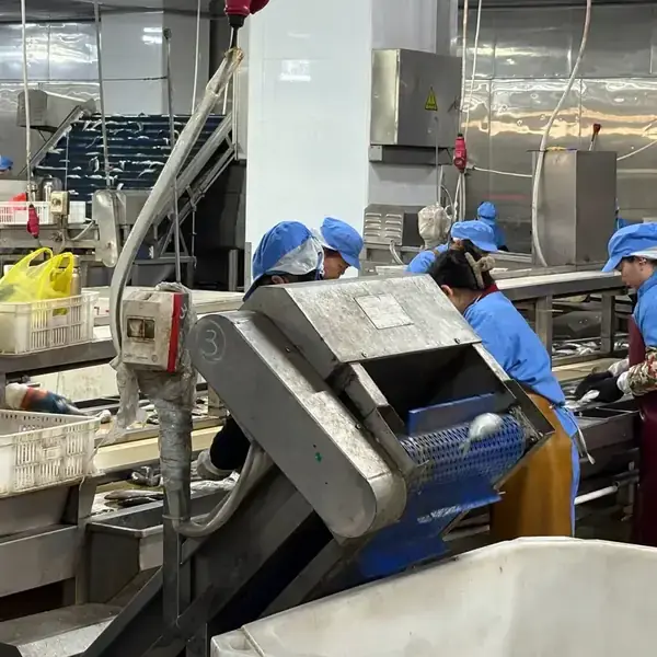 Your Reliable Fish Factory