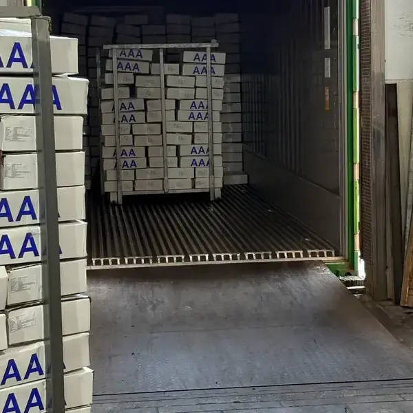 Your Reliable Fish Factory